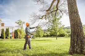 Flanders, NY Tree Services Company