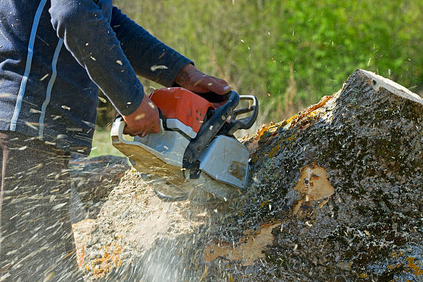 Best Leaf Removal  in Flanders, NY